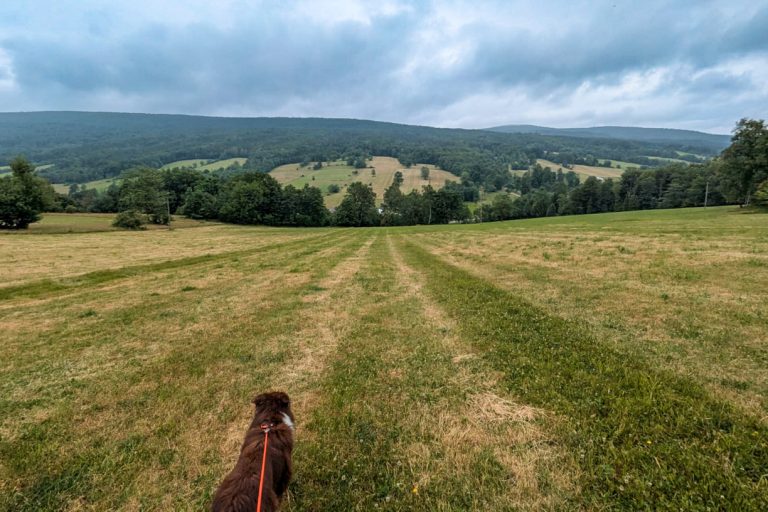 pod kornutami atrakcje 12.jpg